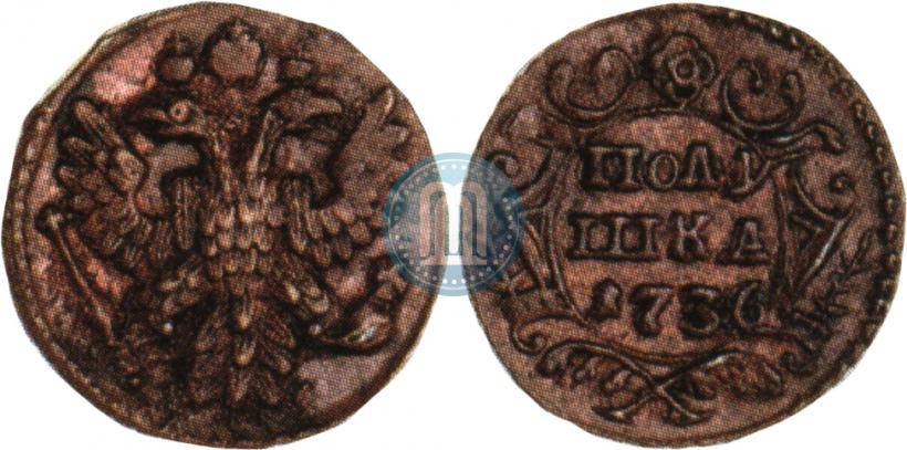 Picture Polushka 1736 year  
