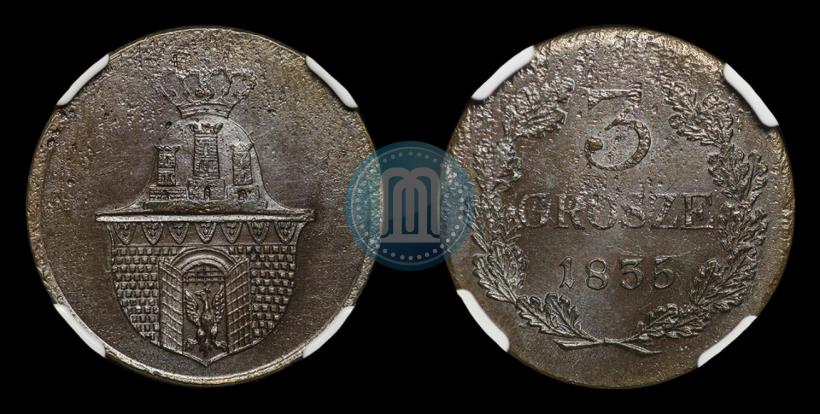 Picture 3 grosze 1835 year  "Pattern"
