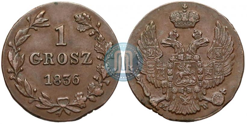 Фото 1 грош 1836 года MW 