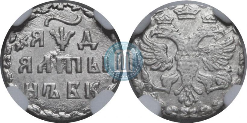 Picture Altyn 1704 year БК 