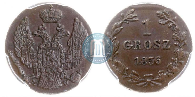 Фото 1 грош 1836 года MW 
