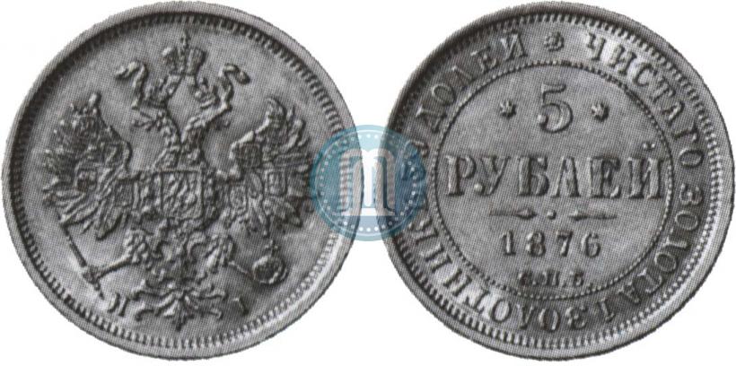 Фото 5 рублей 1876 года СПБ-НІ 