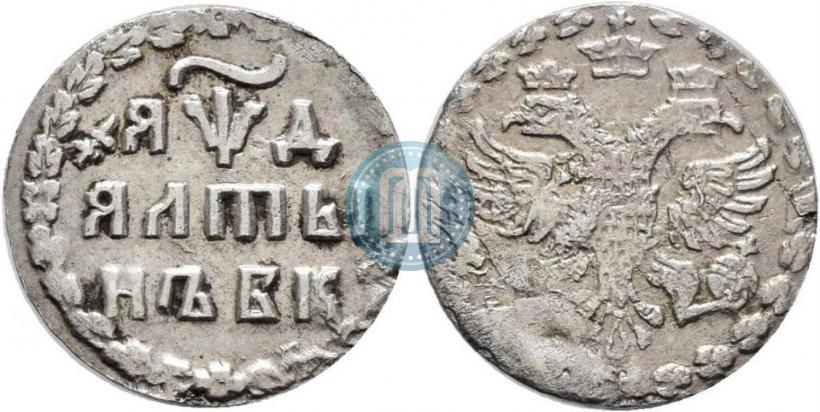 Фото Алтын 1704 года БК 