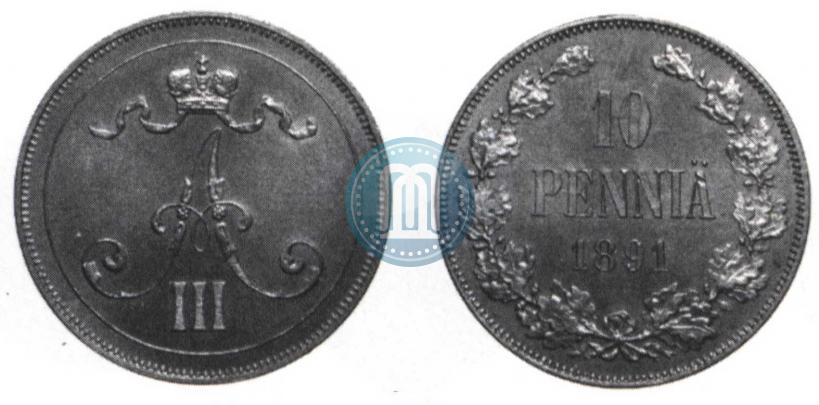 Фото 10 пенни 1891 года  