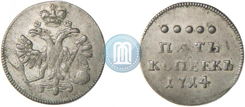 Picture 5 kopecks 1714 year  