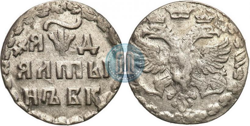 Фото Алтын 1704 года БК 