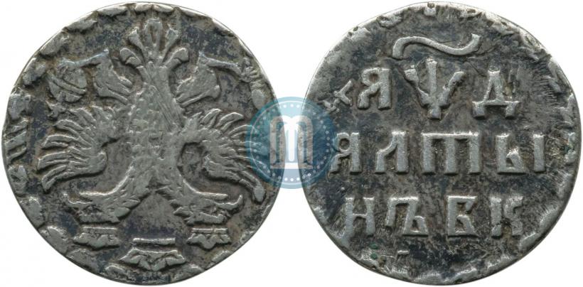Фото Алтын 1704 года БК 