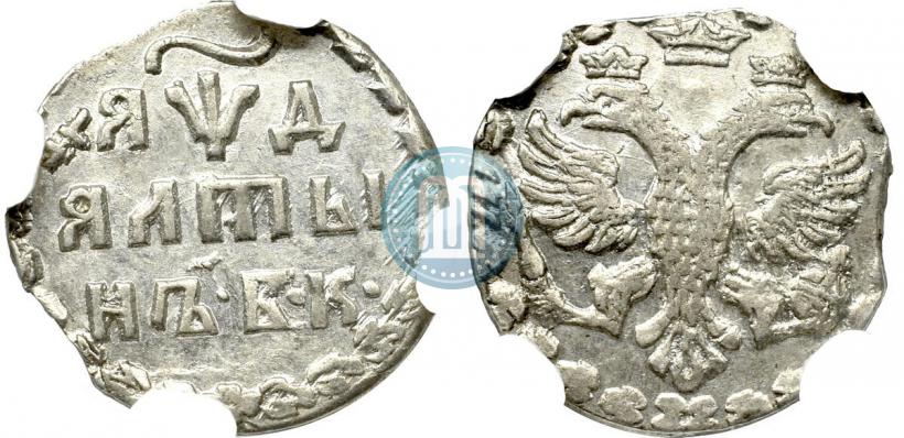 Фото Алтын 1704 года БК 