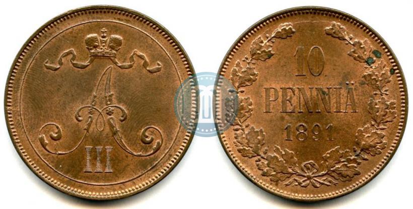 Фото 10 пенни 1891 года  