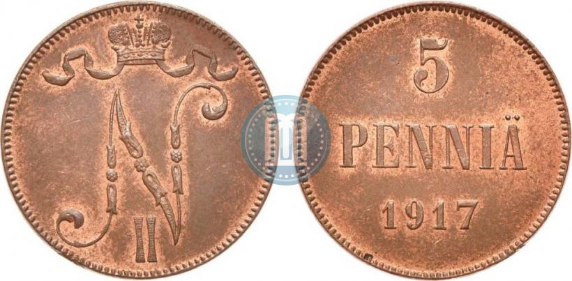 Picture 5 pennia 1917 year  