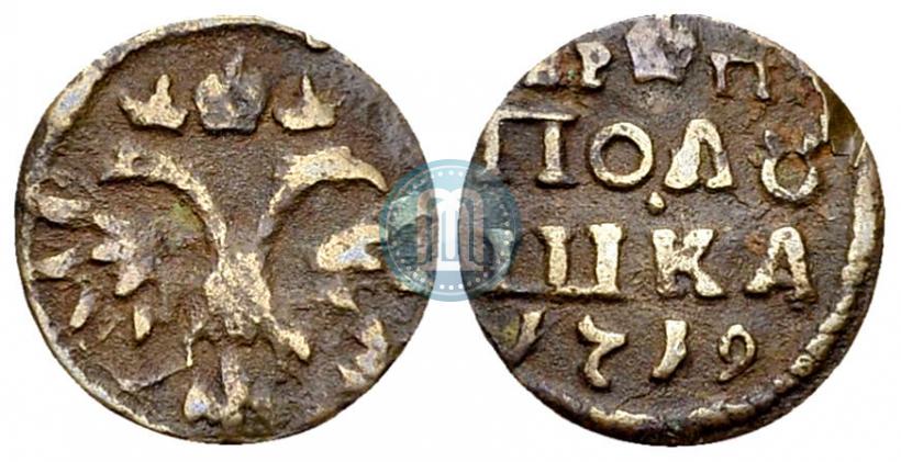 Picture Polushka 1719 year  
