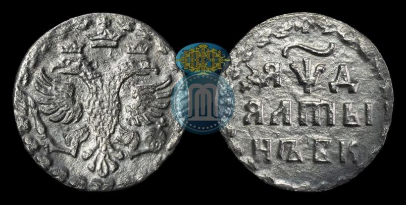 Picture Altyn 1704 year БК 