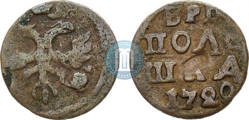 Picture Polushka 1720 year  