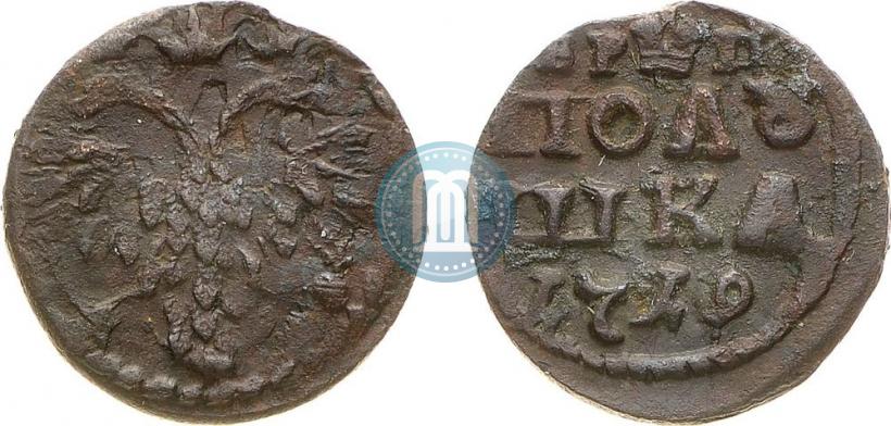 Фото Полушка 1719 года  