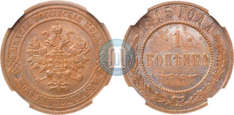Picture 1 kopeck 1915 year  