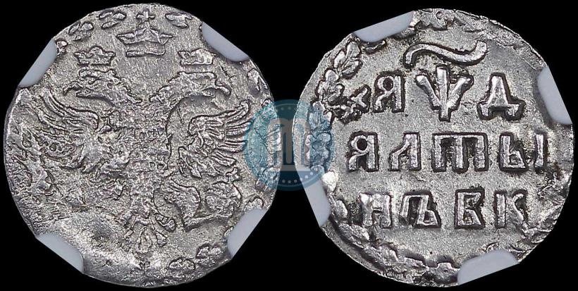 Picture Altyn 1704 year БК 