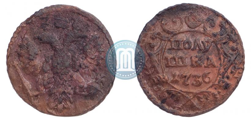 Фото Полушка 1736 года  