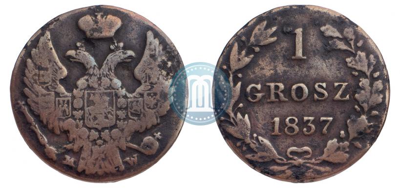 Фото 1 грош 1837 года MW 