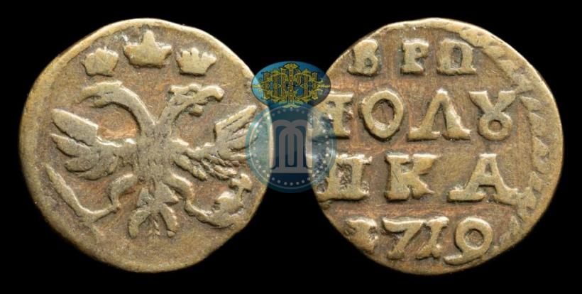 Фото Полушка 1719 года  