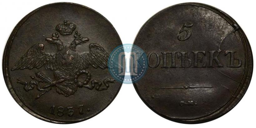 Picture 5 kopecks 1837 year СМ 