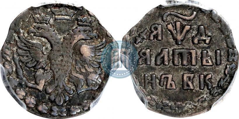 Фото Алтын 1704 года БК 