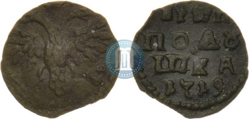 Фото Полушка 1719 года  
