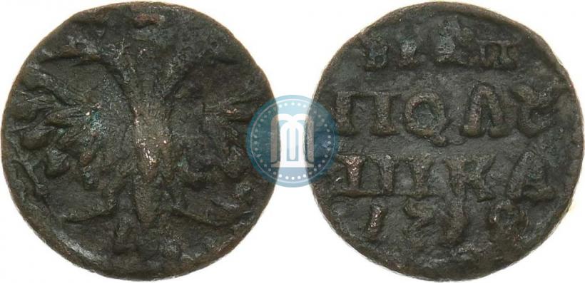 Фото Полушка 1719 года  