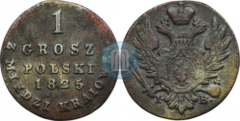 Фото 1 грош 1825 года IB 
