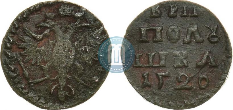 Picture Polushka 1720 year  