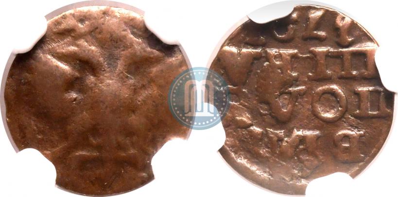 Picture Polushka 1721 year  