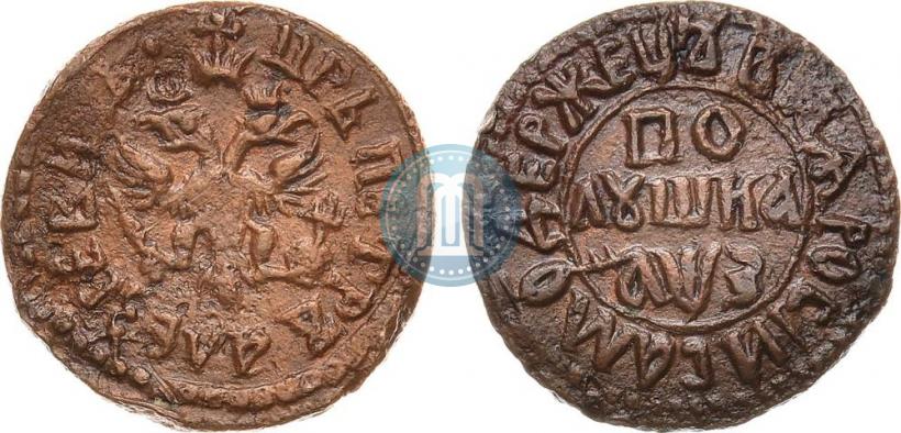 Фото Полушка 1707 года  