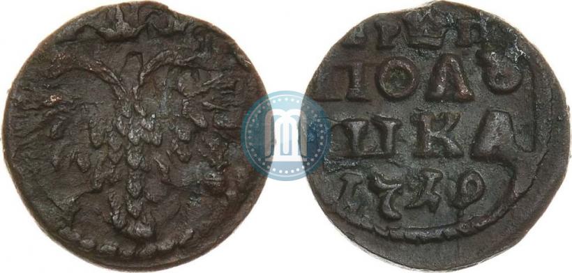 Фото Полушка 1719 года  