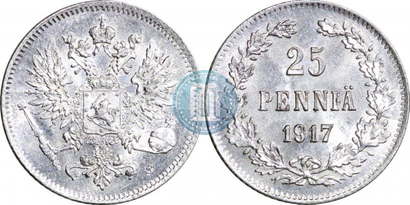 Picture 25 pennia 1917 year S 