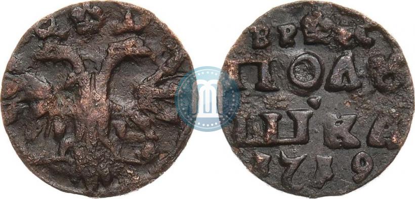 Фото Полушка 1719 года  
