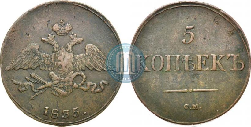 Picture 5 kopecks 1835 year СМ 