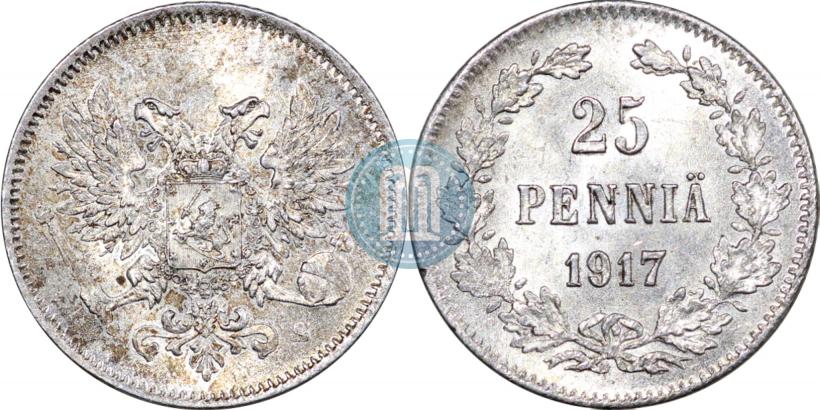 Picture 25 pennia 1917 year S 
