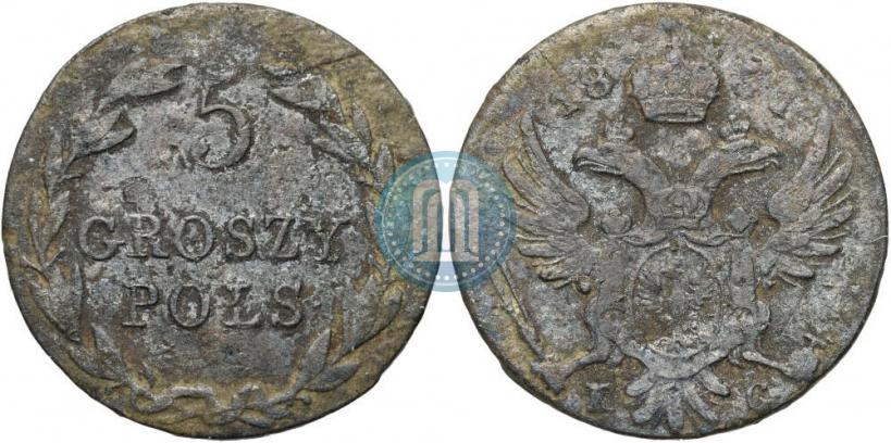 Picture 5 groszy 1831 year KG 