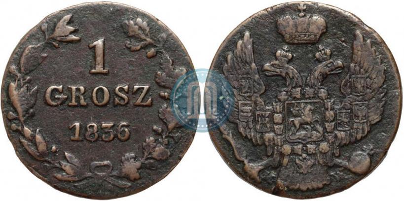Фото 1 грош 1836 года MW 