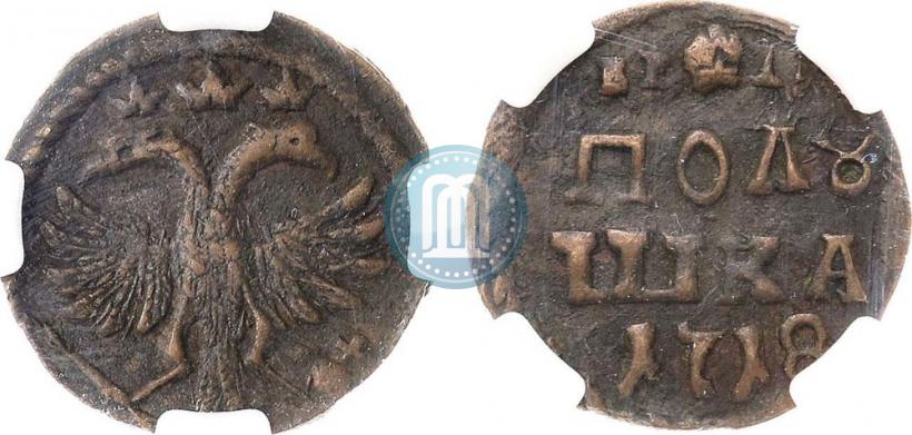 Фото Полушка 1718 года  