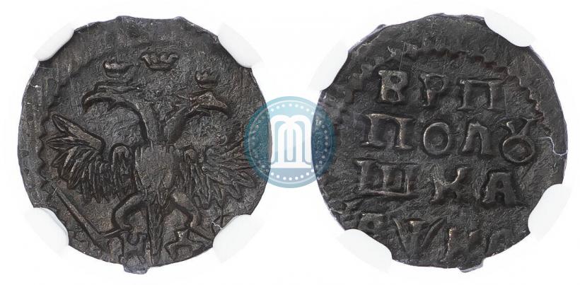 Фото Полушка 1721 года НД 
