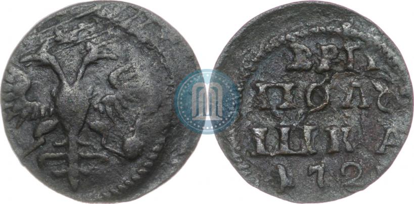 Picture Polushka 1721 year  