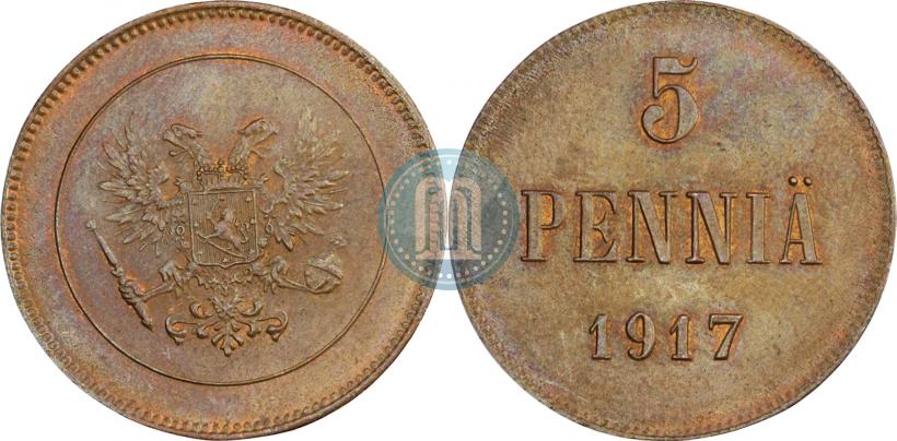 Фото 5 пенни 1917 года  