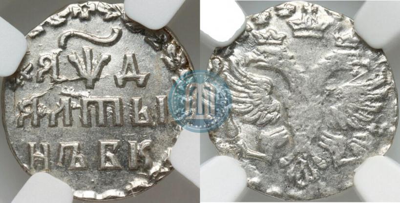 Фото Алтын 1704 года БК 