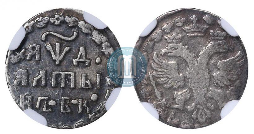 Фото Алтын 1704 года БК 