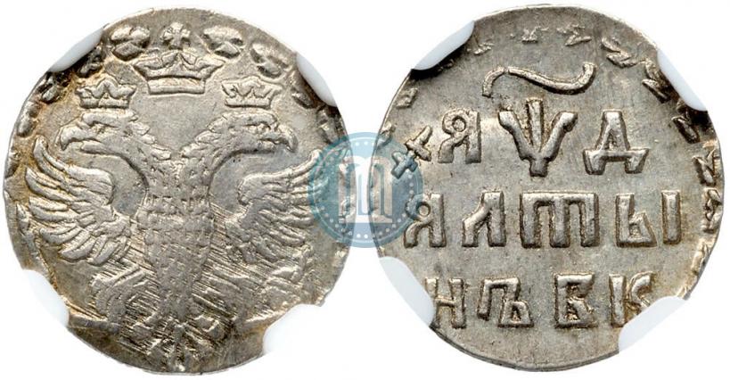 Picture Altyn 1704 year БК 