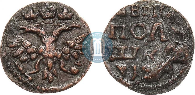 Фото Полушка 1719 года  