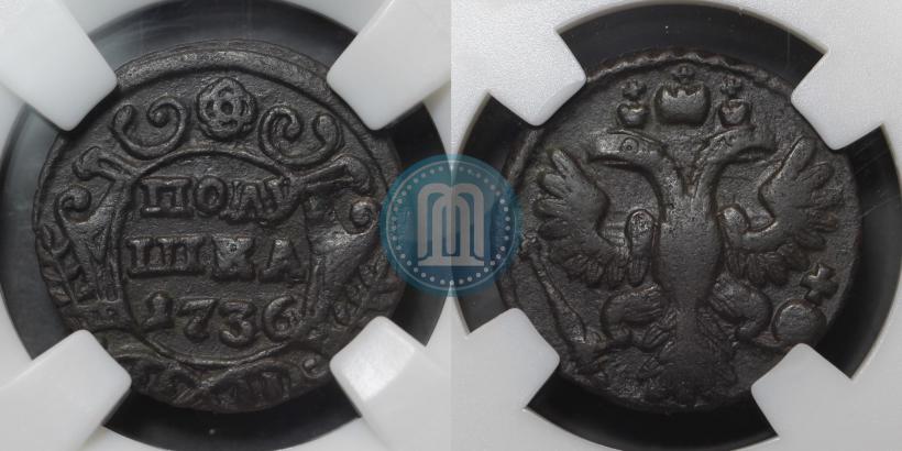 Picture Polushka 1736 year  