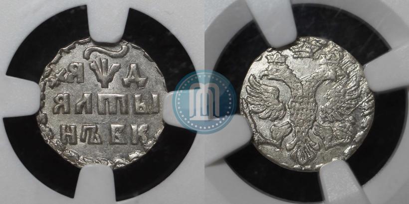 Фото Алтын 1704 года БК 