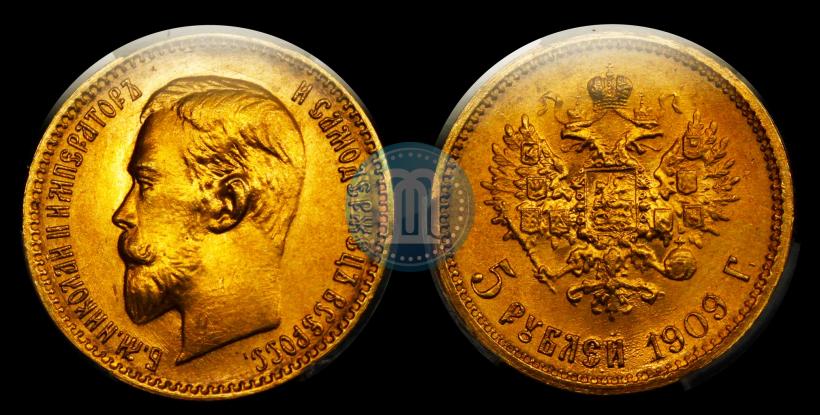 Picture 5 roubles 1909 year (ЭБ) 