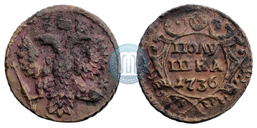 Фото Полушка 1736 года  